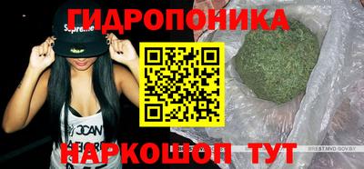 spice Краснознаменск
