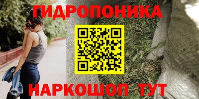 spice Краснознаменск