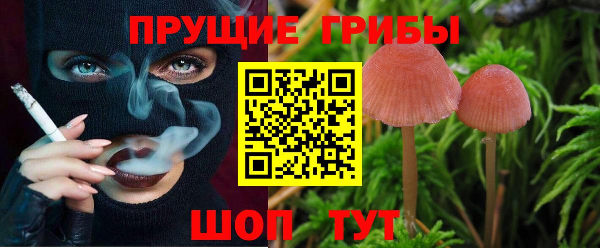 Галлюциногенные грибы GOLDEN TEACHER Черняховск